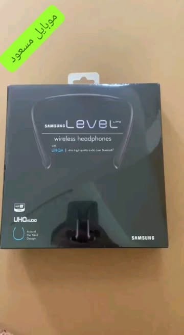 Level U